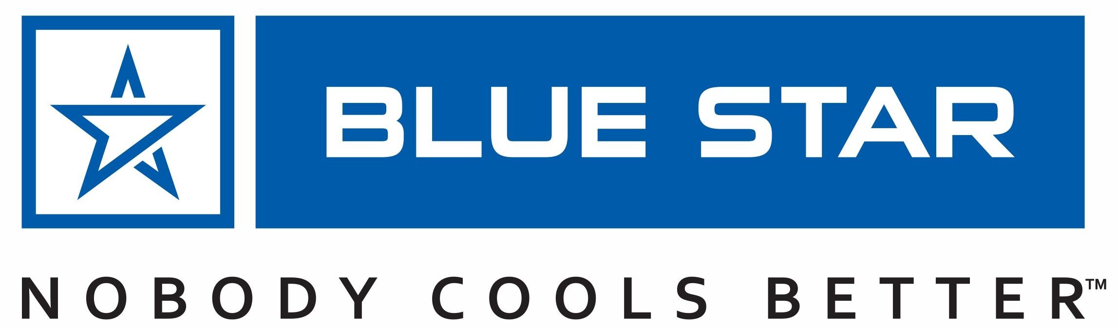 Blue Star Logo